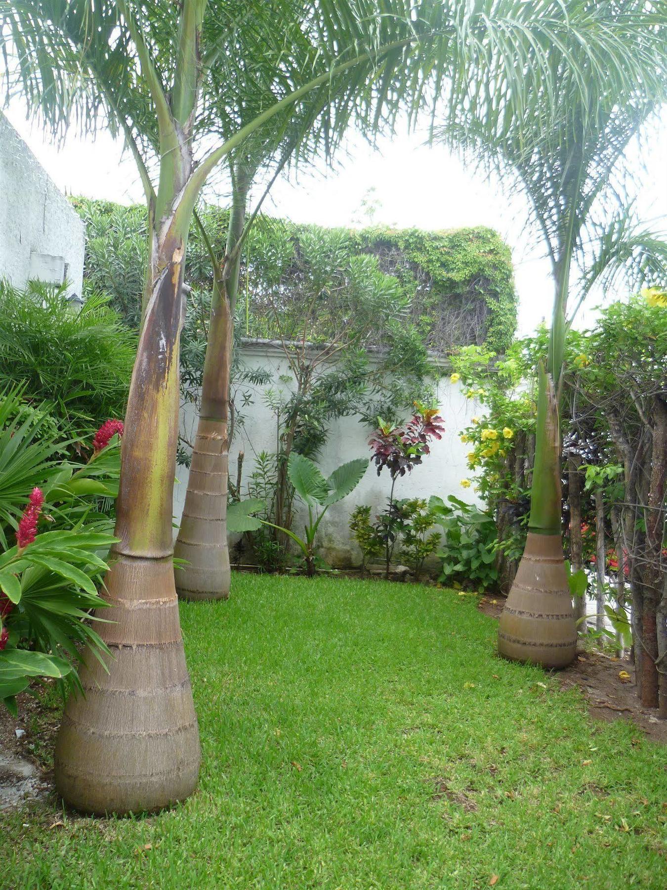 Hostal Haina Cancún Exterior foto